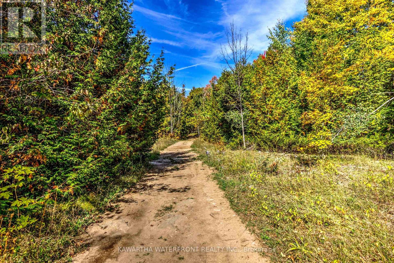 75 Beaver Drive, Kawartha Lakes, Ontario  K0M 1K0 - Photo 13 - X12401167