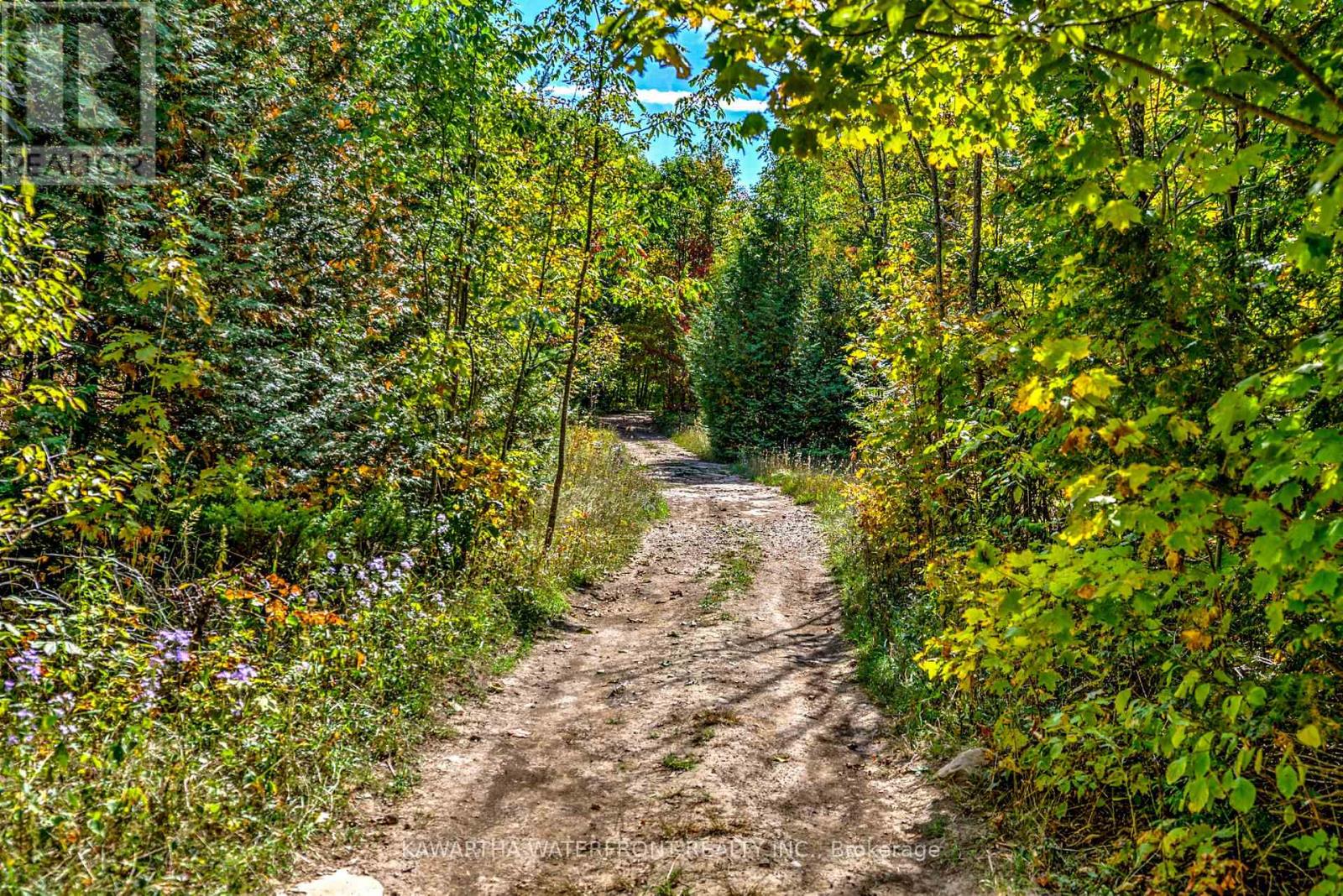 75 Beaver Drive, Kawartha Lakes, Ontario  K0M 1K0 - Photo 12 - X12401167