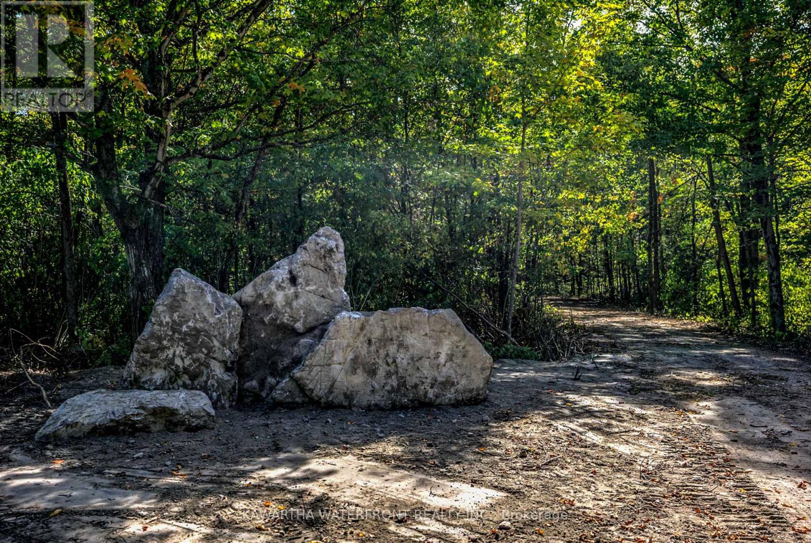 75 Beaver Drive, Kawartha Lakes, Ontario  K0M 1K0 - Photo 5 - X12401167