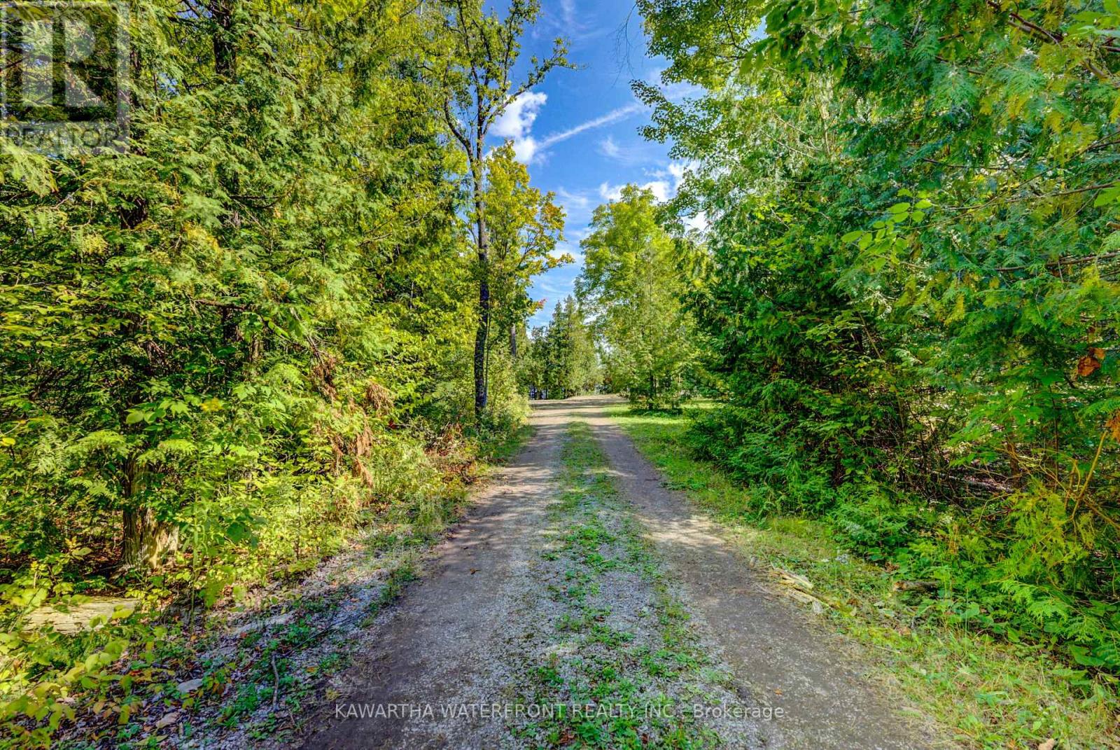 75 Beaver Drive, Kawartha Lakes, Ontario  K0M 1K0 - Photo 7 - X12401167