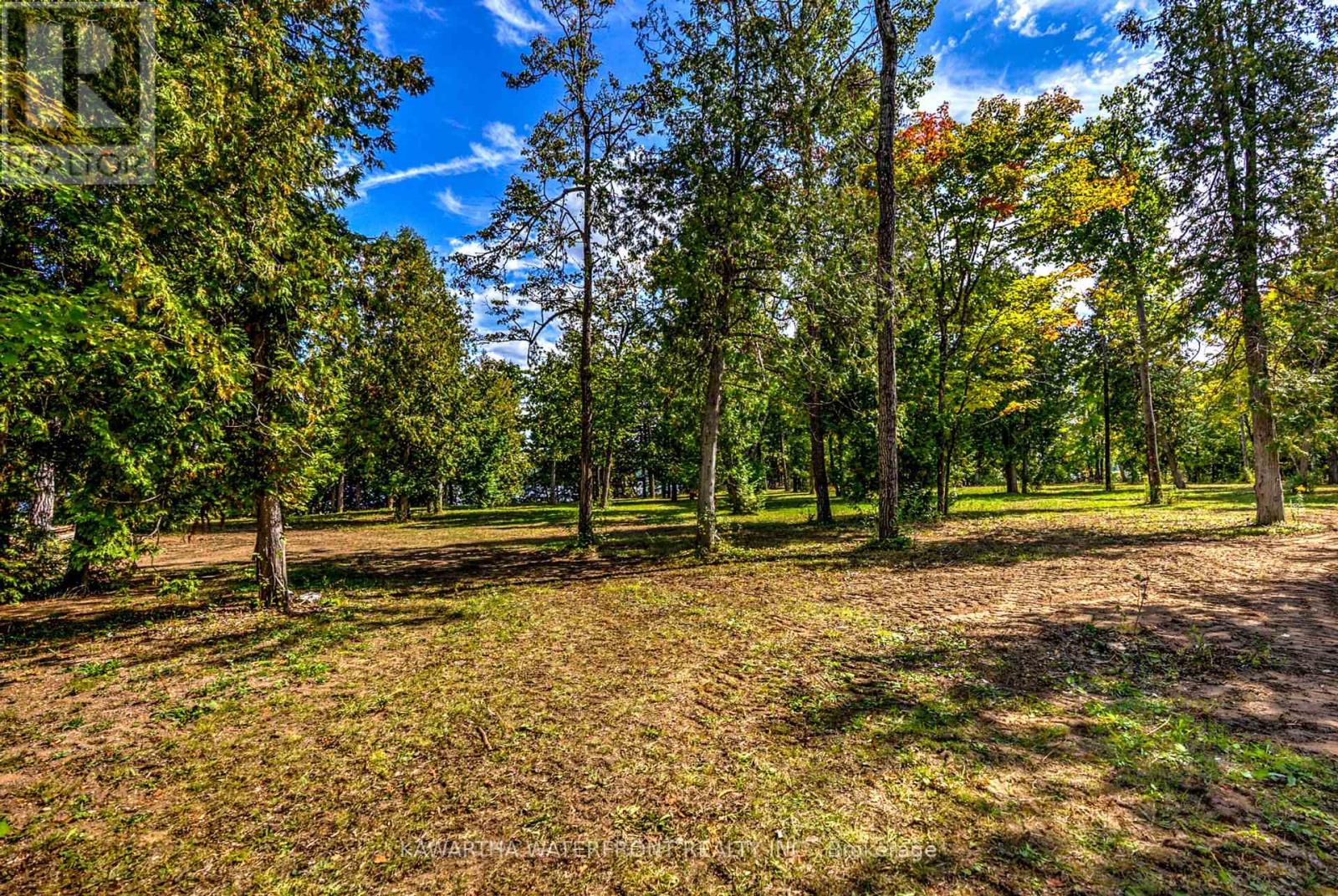 75 Beaver Drive, Kawartha Lakes, Ontario  K0M 1K0 - Photo 9 - X12401167