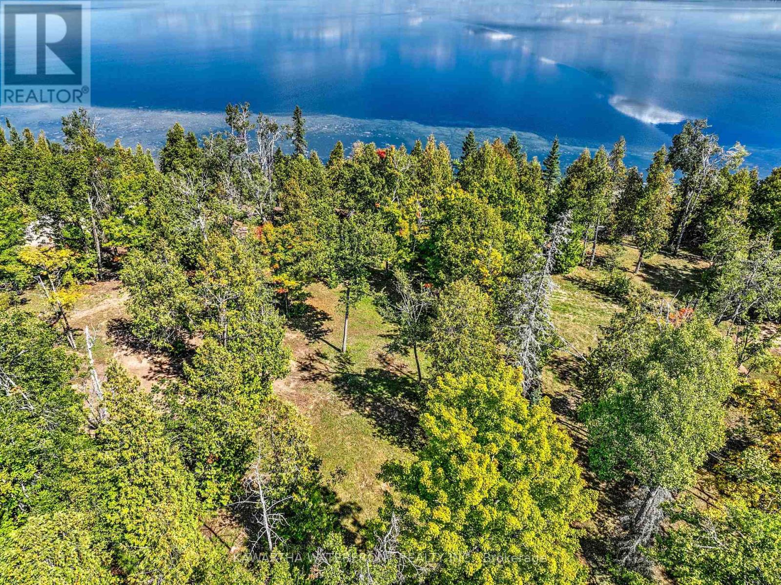 75 Beaver Drive, Kawartha Lakes, Ontario  K0M 1K0 - Photo 6 - X12401167