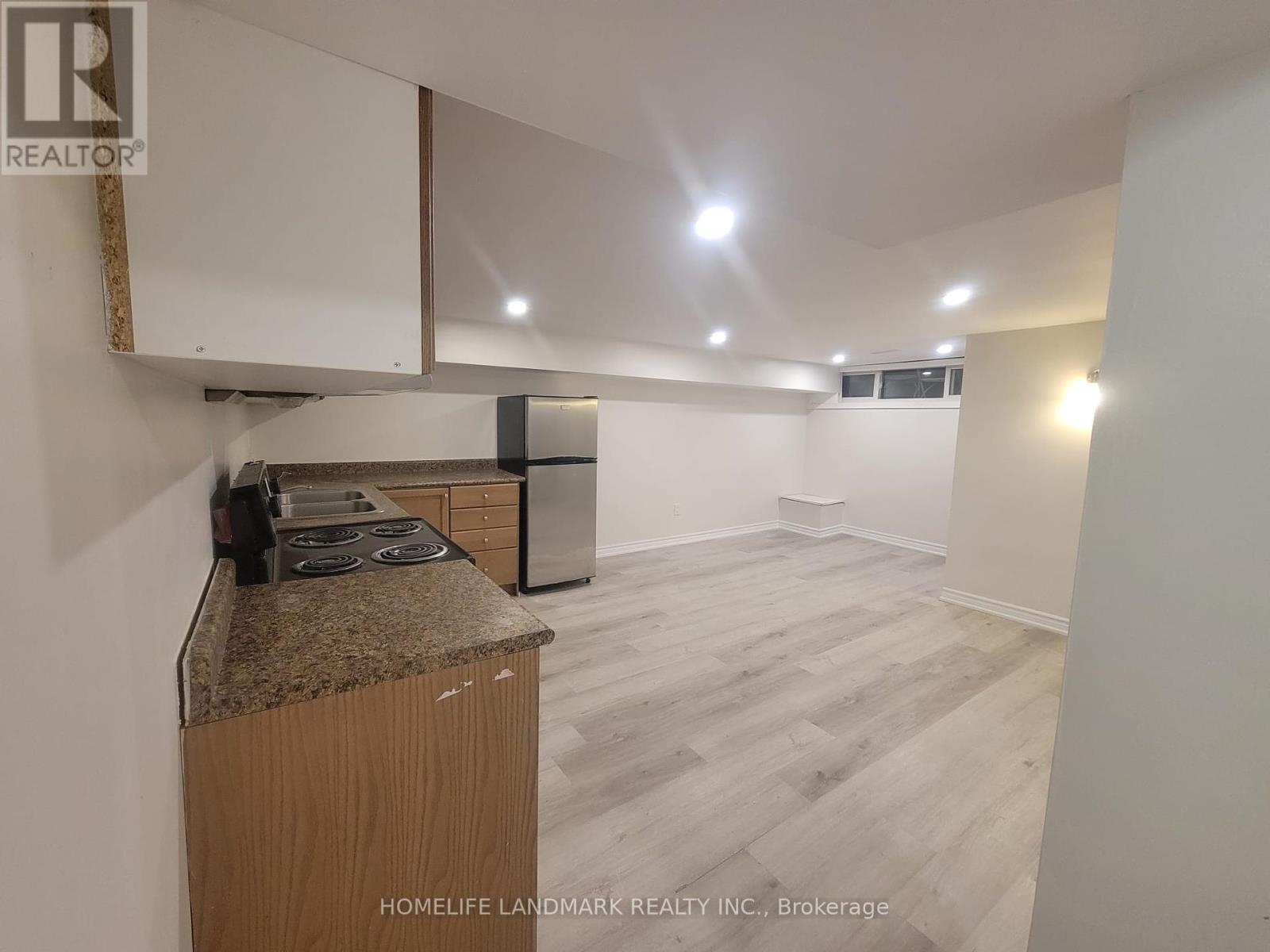 Basment - 307 Axminster Drive, Richmond Hill, Ontario  L4C 2W3 - Photo 4 - N12411355