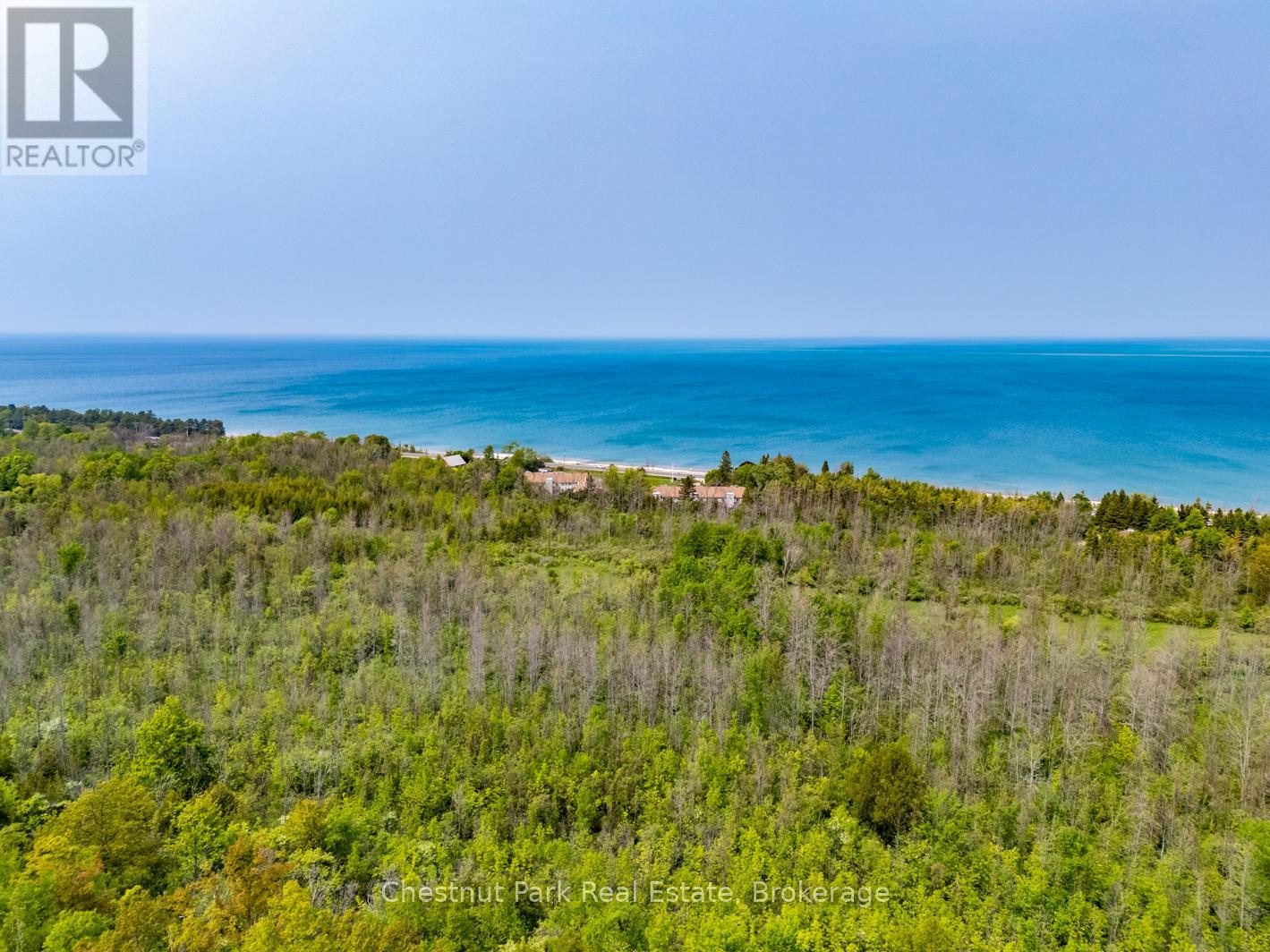 39 - 209472 Highway 26, Blue Mountains, Ontario  L9Y 0V3 - Photo 6 - X12411423