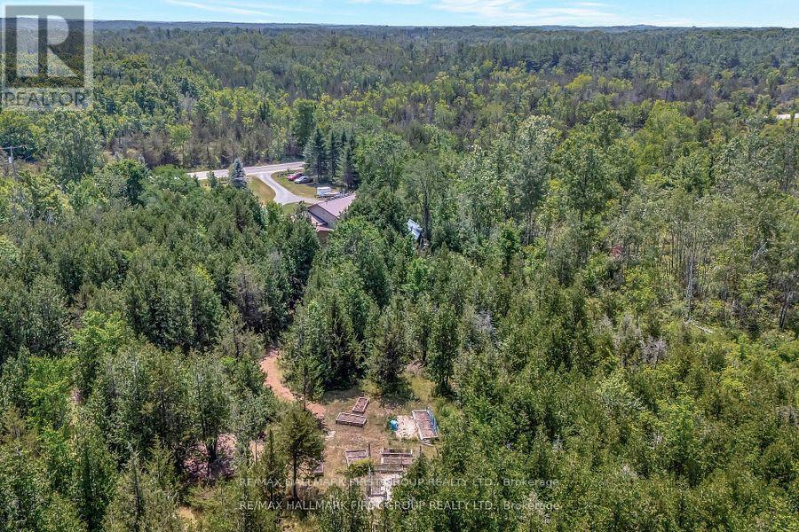 1503 Moneymore Road, Tweed, Ontario  K0K 2Y0 - Photo 46 - X12411420