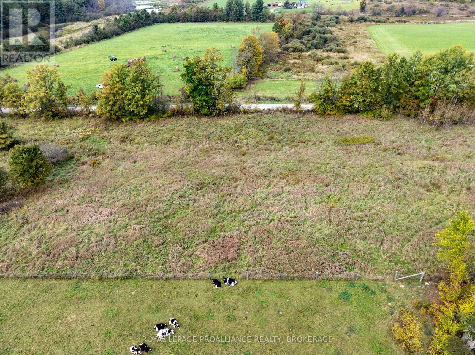 Pt 4 Mcandrews Road, Rideau Lakes, Ontario  K0G 1X0 - Photo 6 - X12411526