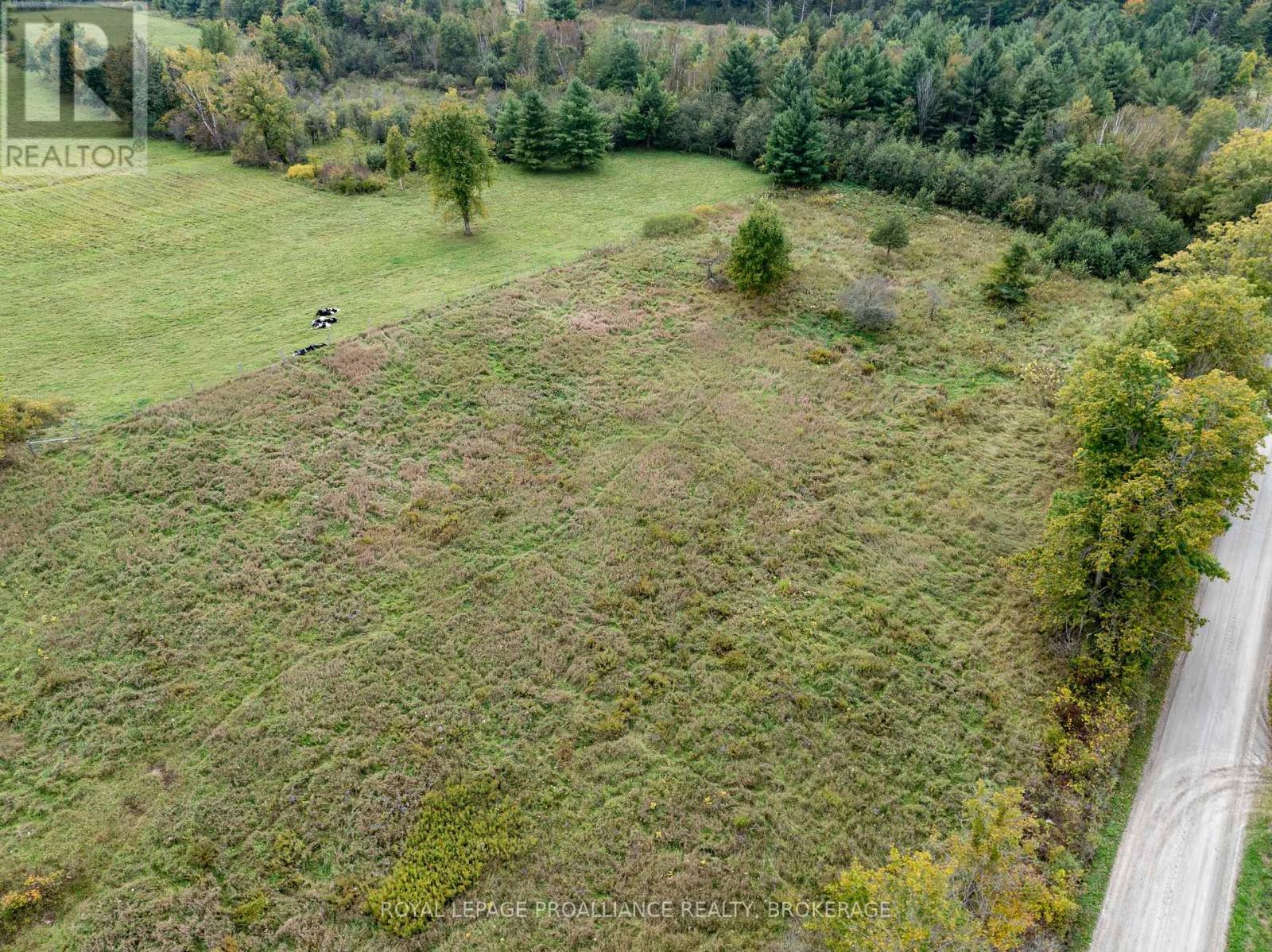 Pt 4 Mcandrews Road, Rideau Lakes, Ontario  K0G 1X0 - Photo 9 - X12411526