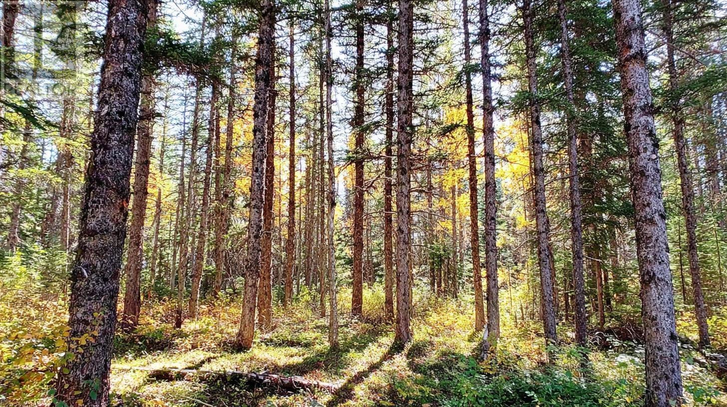 Lot 40 Beaver Lane, Grantville, Nova Scotia  B0E 1J0 - Photo 4 - 202523661