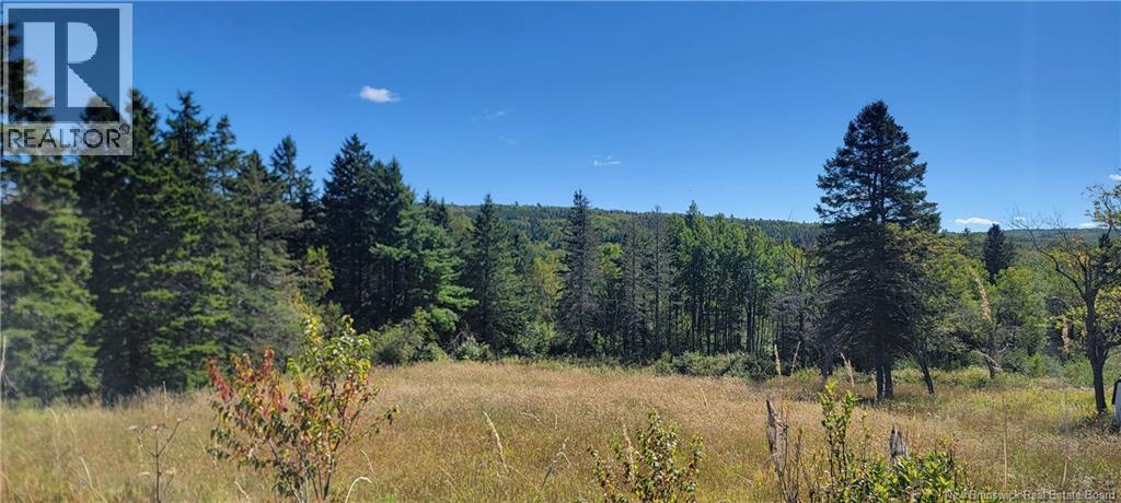 Lot 01-1 Route 121, Riverbank, New Brunswick  E5T 4Z5 - Photo 2 - NB126996