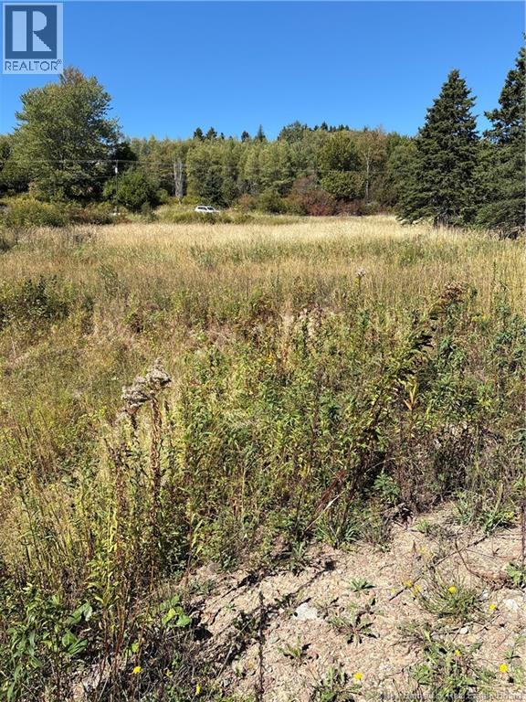 Lot 01-1 Route 121, Riverbank, New Brunswick  E5T 4Z5 - Photo 5 - NB126996
