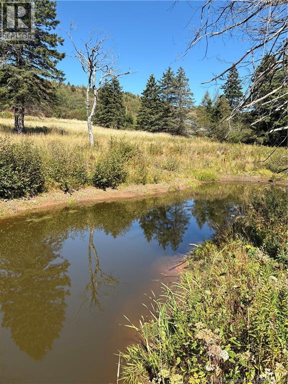 Lot 01-1 Route 121, Riverbank, New Brunswick  E5T 4Z5 - Photo 6 - NB126996