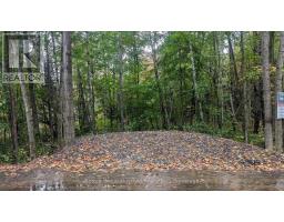 LOT 1 TALLY-HO WINTER PARK ROAD, Lake of Bays, Ontario