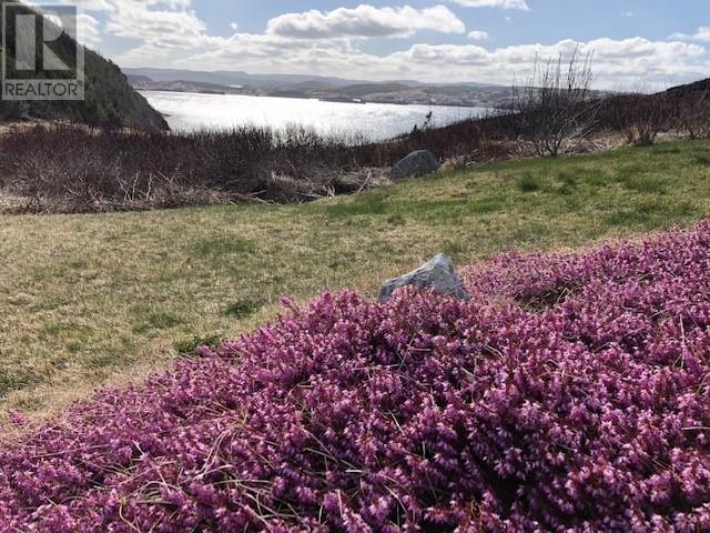 0 Main Road, Champney's East, Newfoundland & Labrador  A0C 2H0 - Photo 10 - 1286542