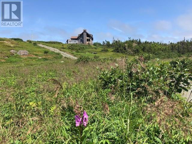 0 Main Road, Champney's East, Newfoundland & Labrador  A0C 2H0 - Photo 12 - 1286542