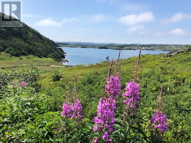 0 Main Road, Champney's East, Newfoundland & Labrador  A0C 2H0 - Photo 3 - 1286542