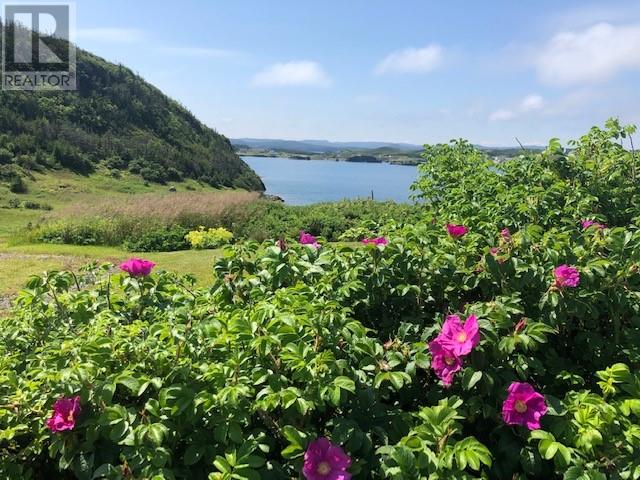 0 Main Road, Champney's East, Newfoundland & Labrador  A0C 2H0 - Photo 8 - 1286542