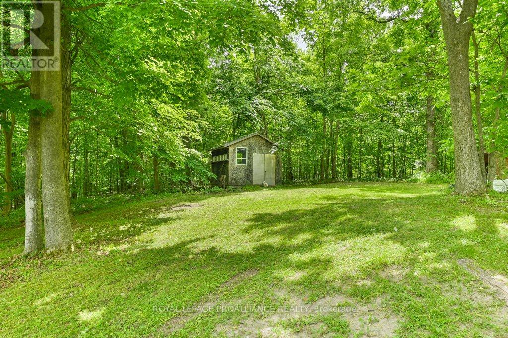 184 Bethel Road, Belleville, Ontario  K0K 3E0 - Photo 28 - X12411729