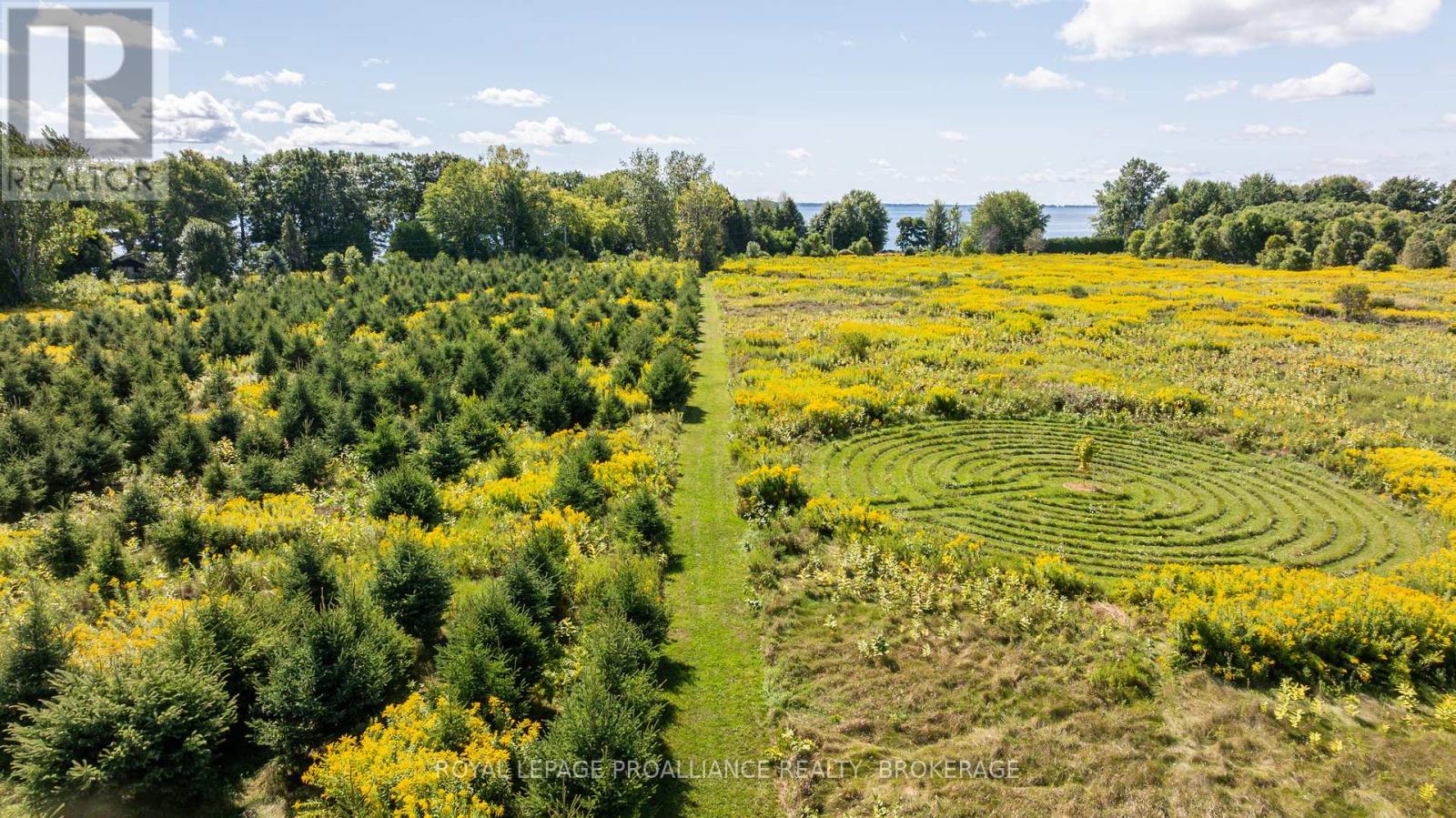 15 14th Line Road, Frontenac Islands, Ontario  K0H 2Y0 - Photo 41 - X12404543