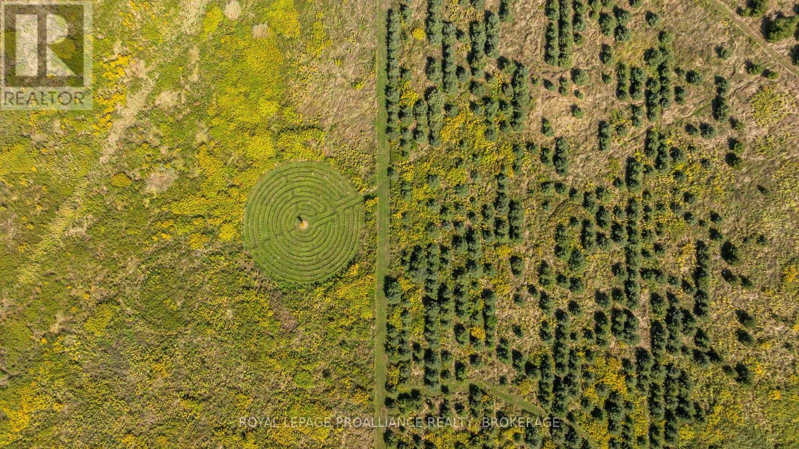 15 14th Line Road, Frontenac Islands, Ontario  K0H 2Y0 - Photo 42 - X12404543