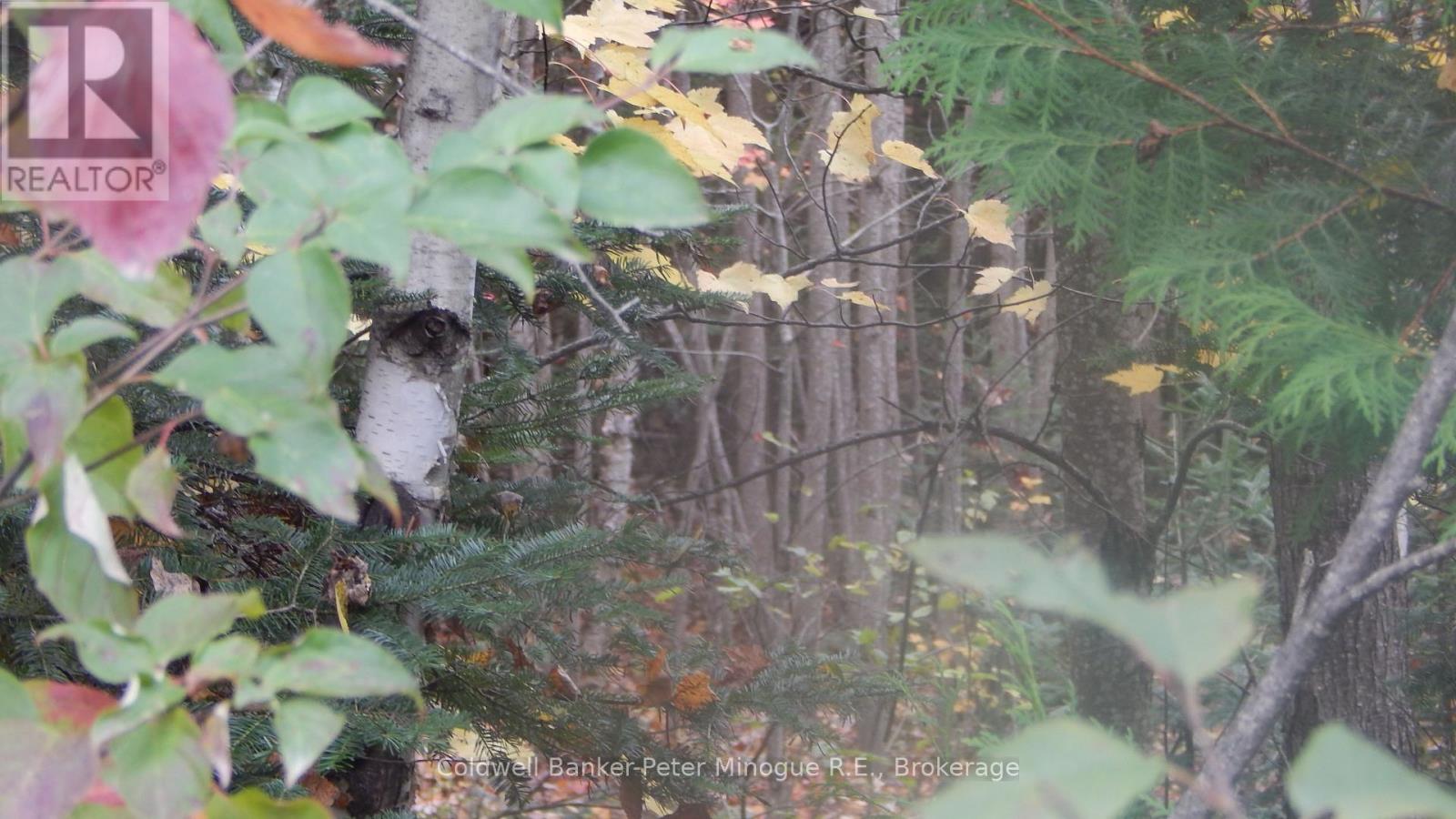 Lot 25 Development Road, Bonfield, Ontario P0H 2E0 - Photo 6 - X12411948