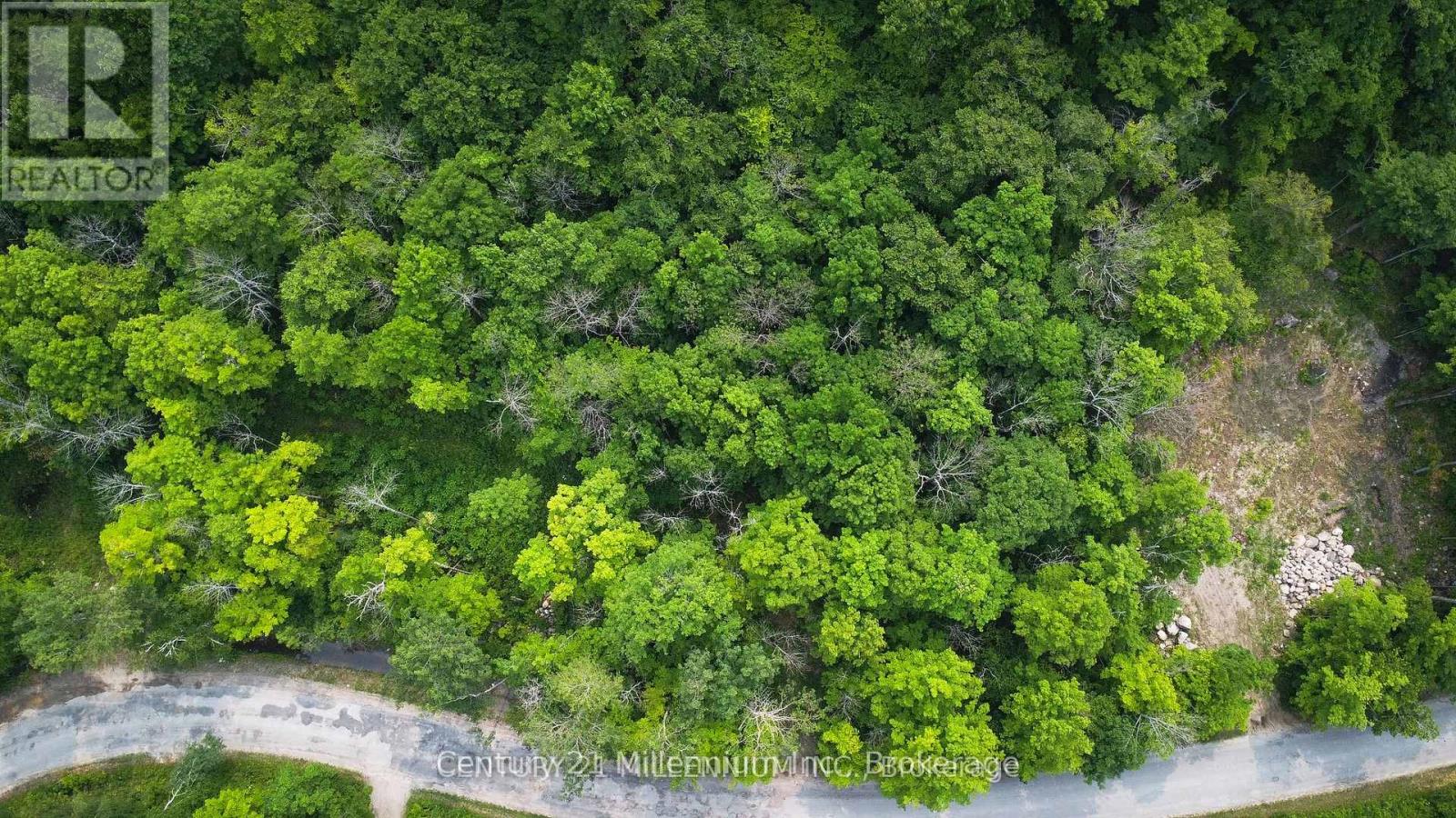1963 Lot 52 Tiny Beaches Road N, Tiny, Ontario  L9M 0H8 - Photo 3 - S12411963