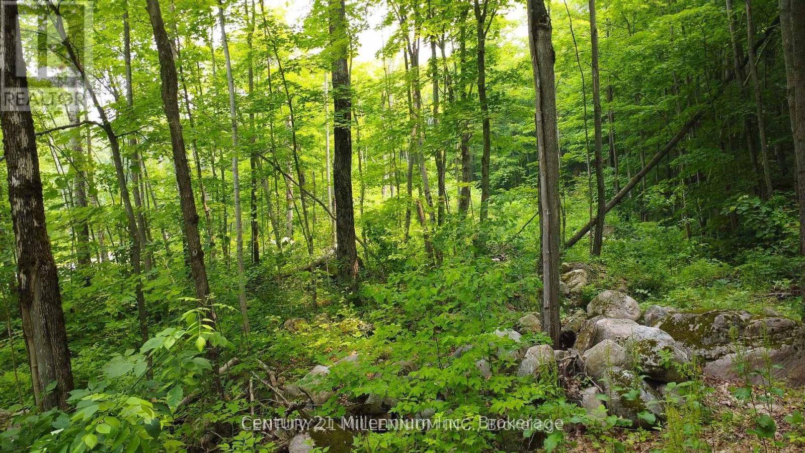 1963 Lot 52 Tiny Beaches Road N, Tiny, Ontario  L9M 0H8 - Photo 6 - S12411963