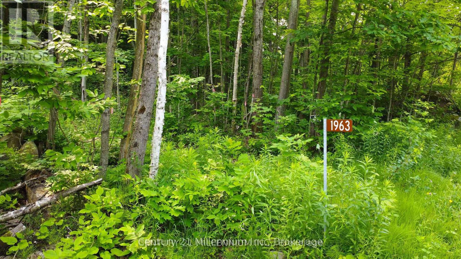 1963 Lot 52 Tiny Beaches Road N, Tiny, Ontario  L9M 0H8 - Photo 4 - S12411963
