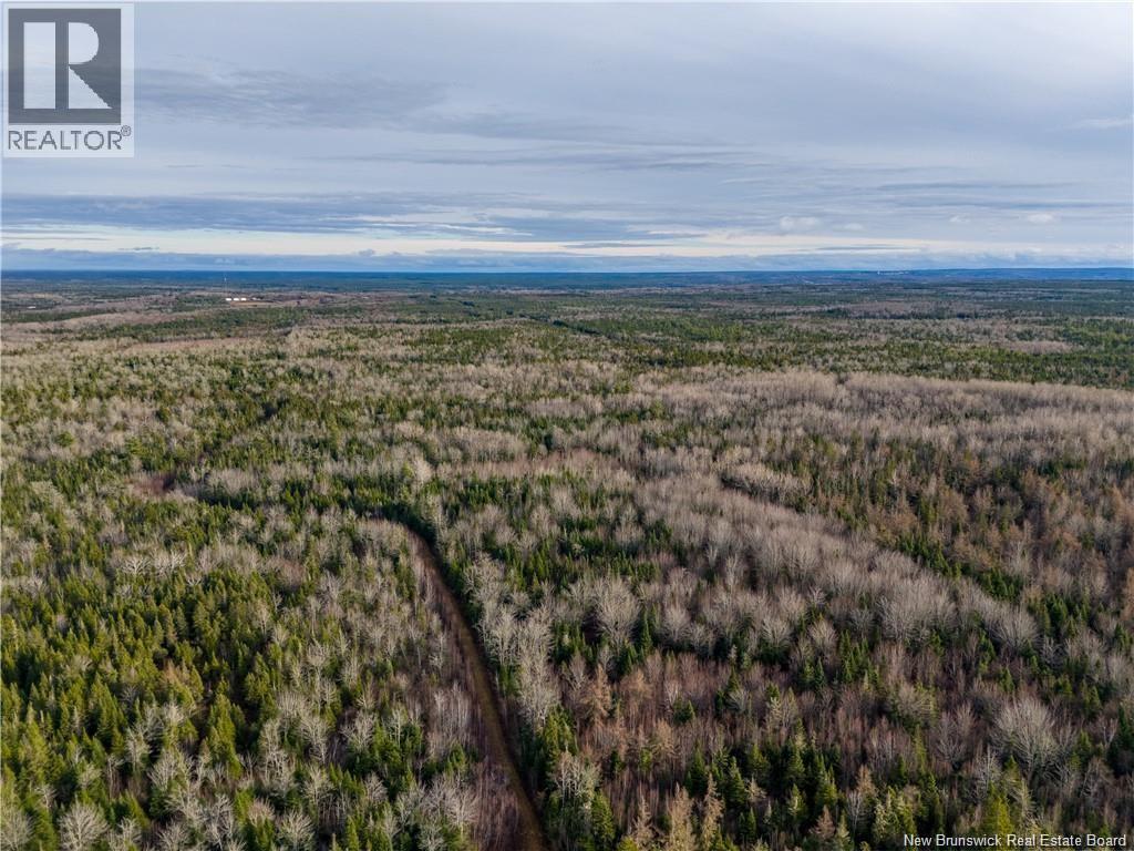 Lot Melanson Road, Dieppe, New Brunswick  E1H 2C5 - Photo 21 - NB126831