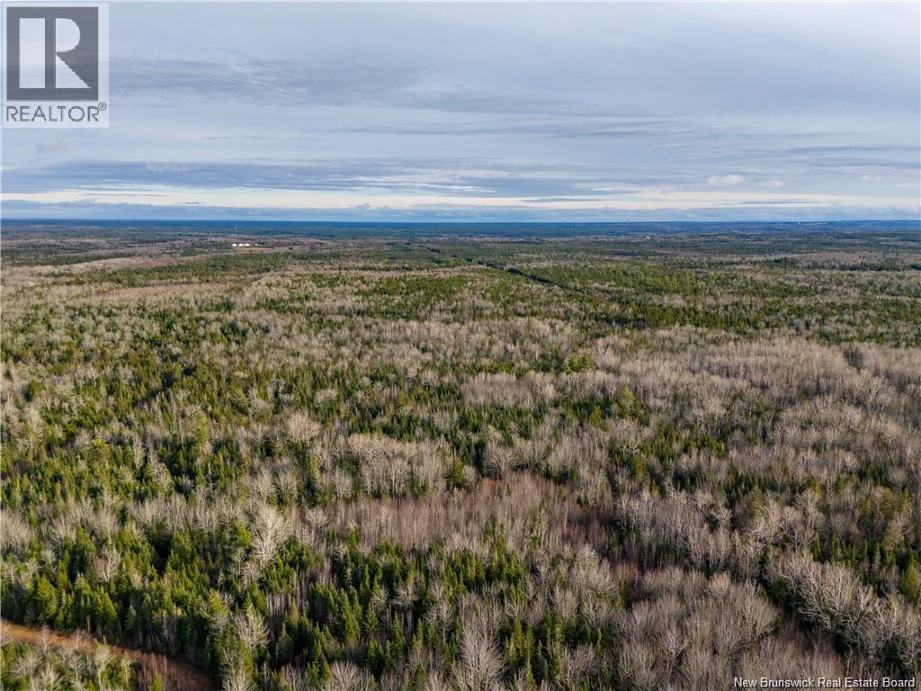 Lot Melanson Road, Dieppe, New Brunswick  E1H 2C5 - Photo 22 - NB126831
