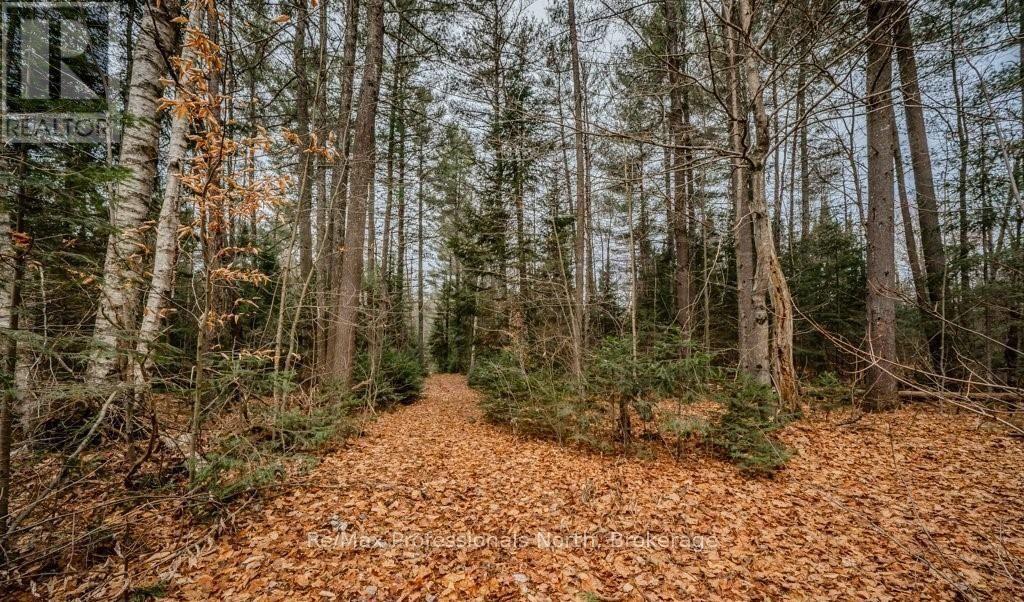 2180-2186 Highway 141, Muskoka Lakes, Ontario  P0B 1L0 - Photo 23 - X12409702