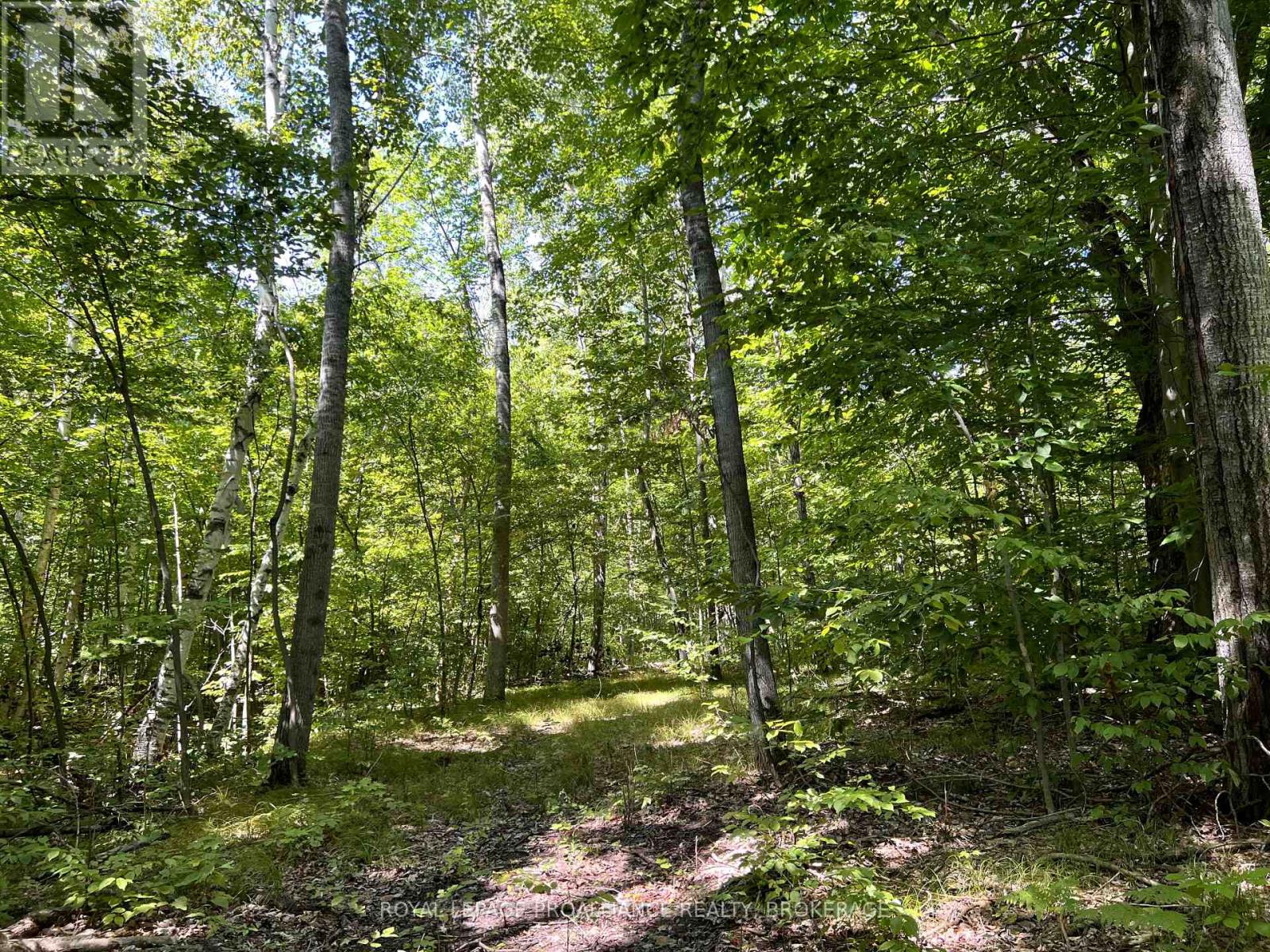 Lot 50 Maple Lane, Tay Valley, Ontario  K0H 2B0 - Photo 18 - X12411307