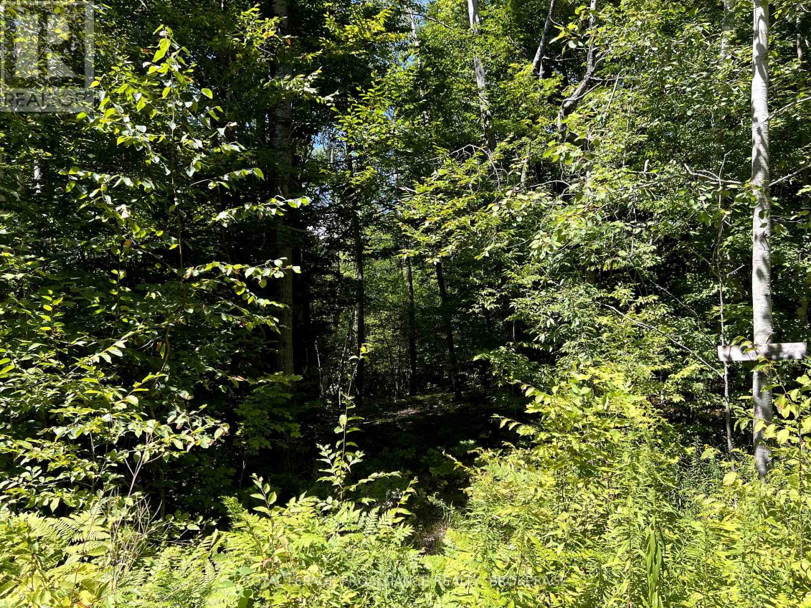 Lot 50 Maple Lane, Tay Valley, Ontario  K0H 2B0 - Photo 17 - X12411307