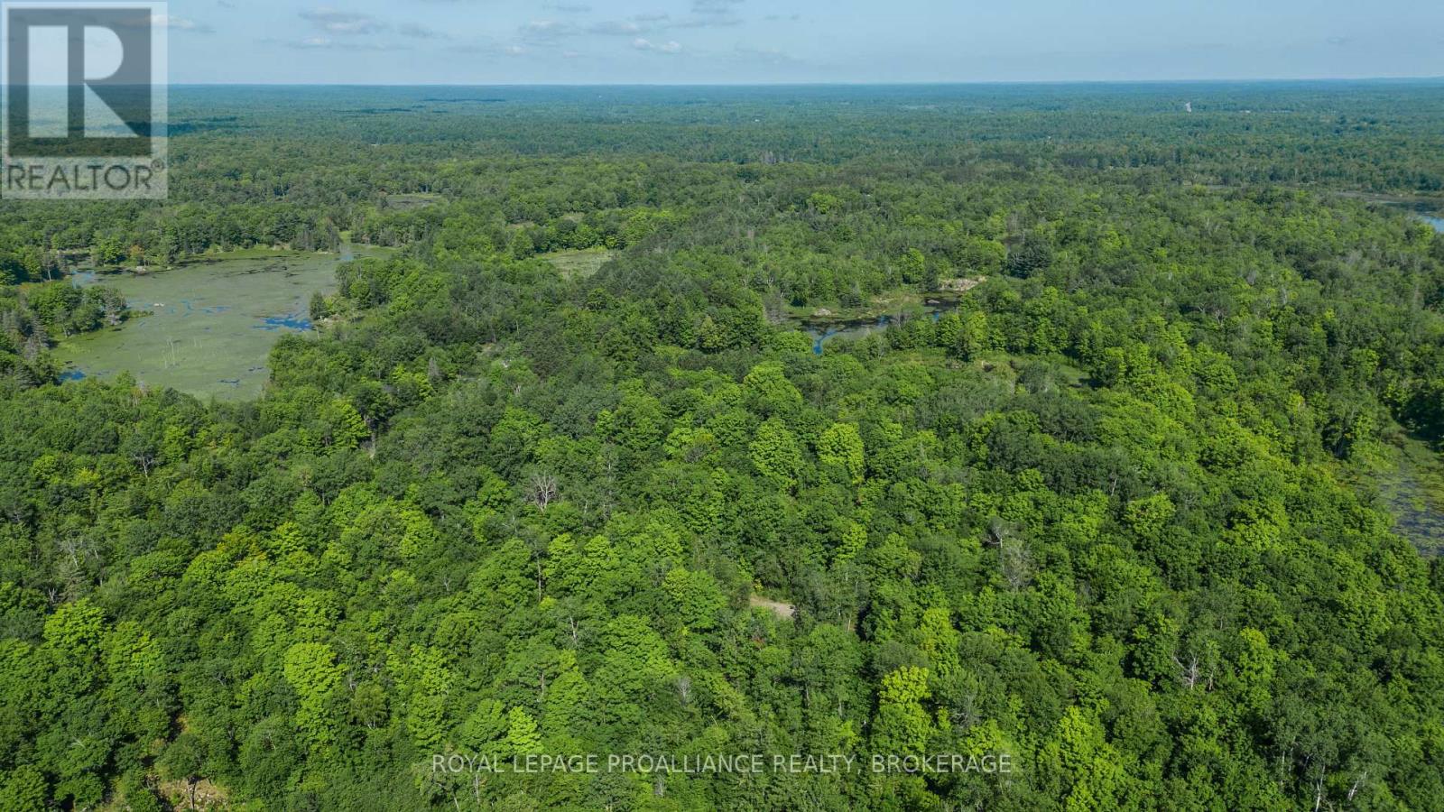 Lot 50 Maple Lane, Tay Valley, Ontario  K0H 2B0 - Photo 5 - X12411307