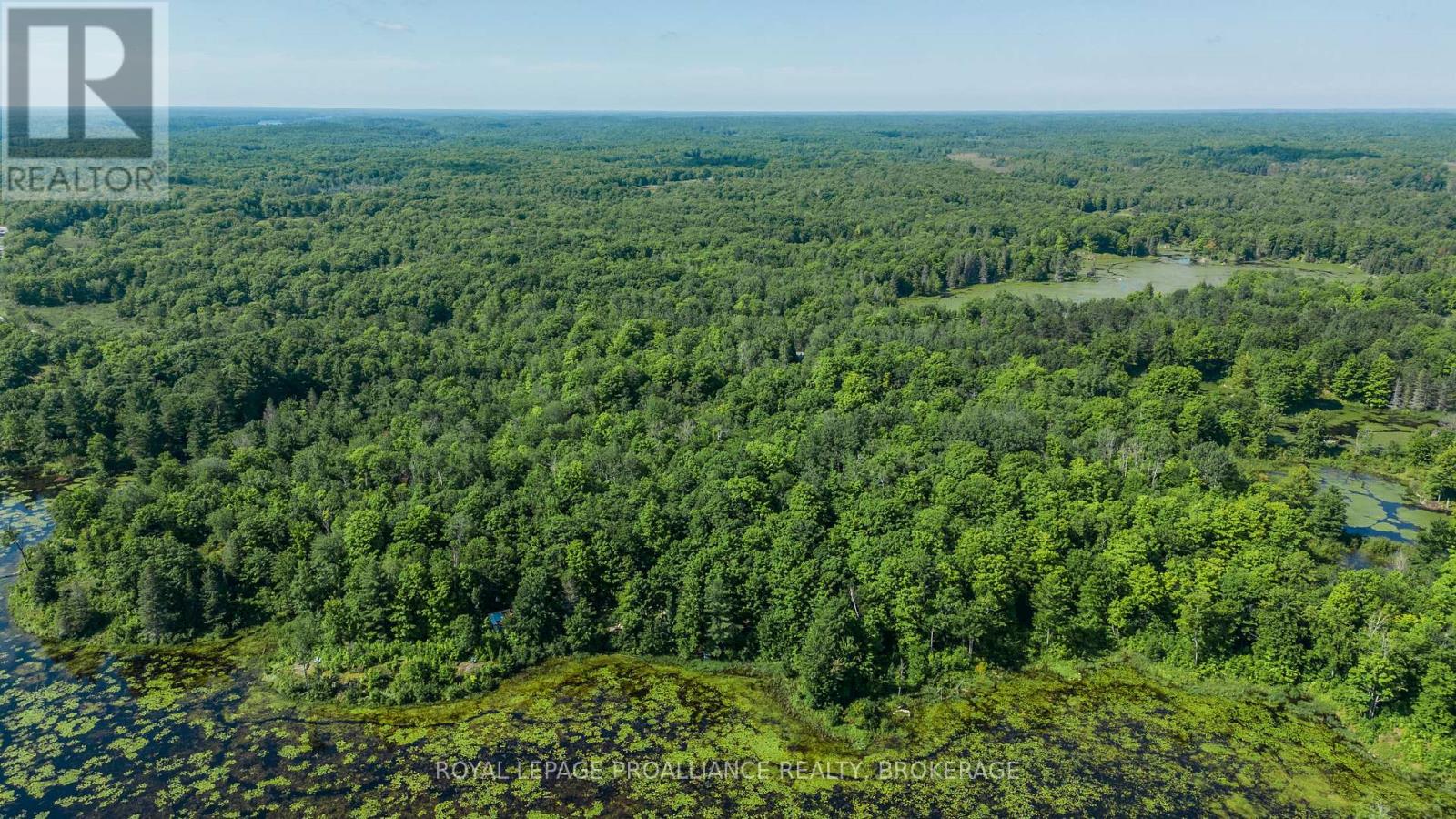 Lot 50 Maple Lane, Tay Valley, Ontario  K0H 2B0 - Photo 10 - X12411307