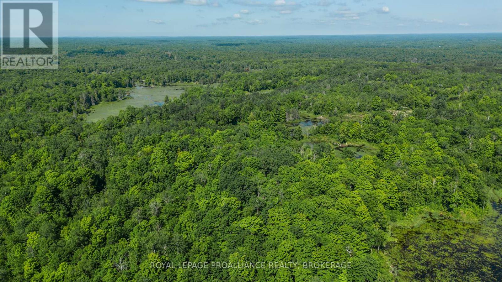 Lot 50 Maple Lane, Tay Valley, Ontario  K0H 2B0 - Photo 11 - X12411307