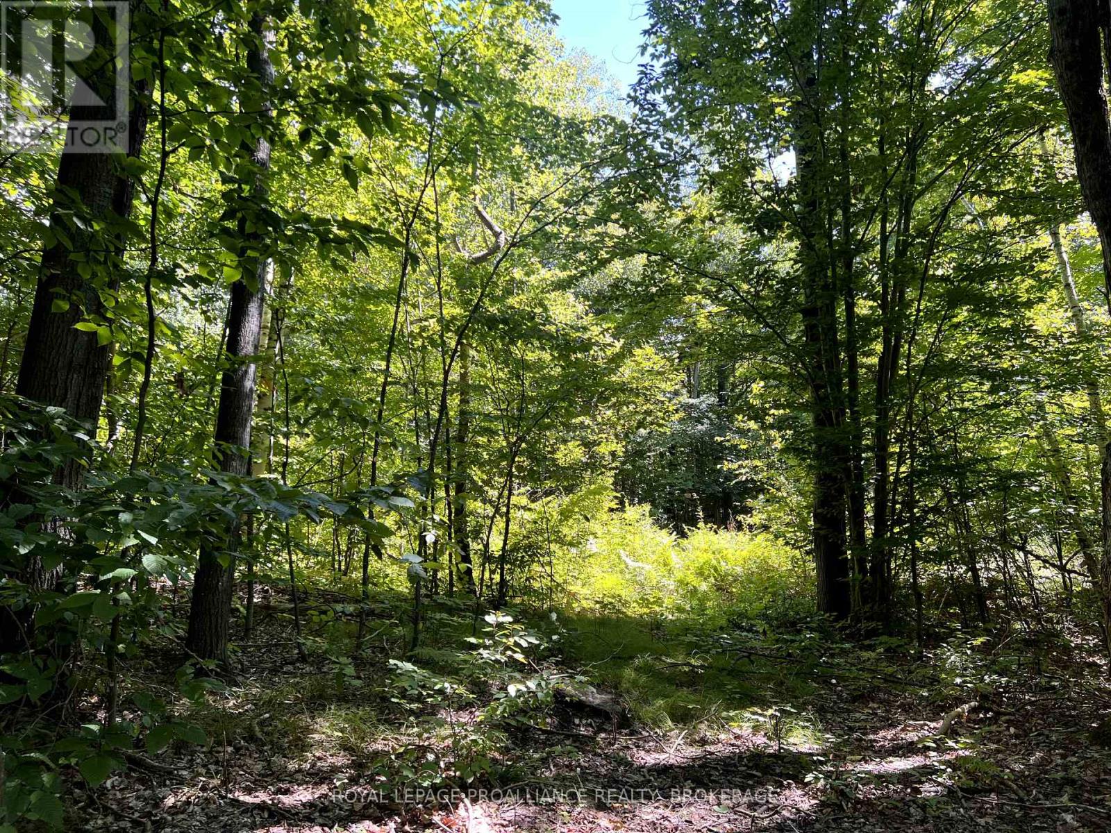 Lot 50 Maple Lane, Tay Valley, Ontario  K0H 2B0 - Photo 19 - X12411307
