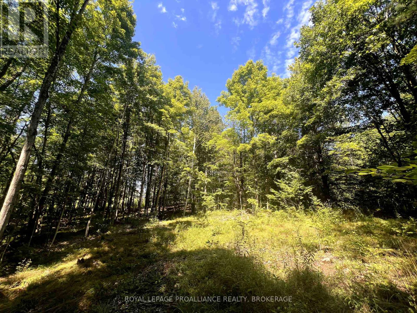 Lot 50 Maple Lane, Tay Valley, Ontario  K0H 2B0 - Photo 20 - X12411307