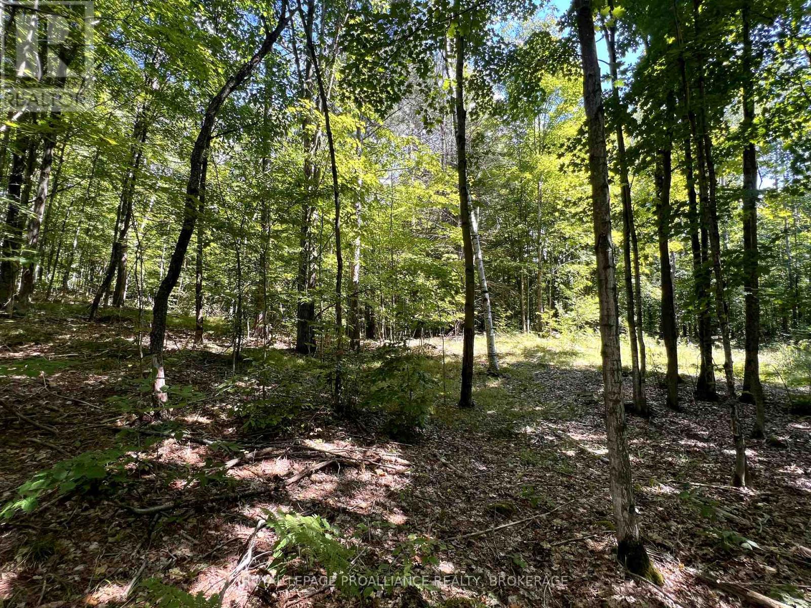 Lot 50 Maple Lane, Tay Valley, Ontario  K0H 2B0 - Photo 24 - X12411307