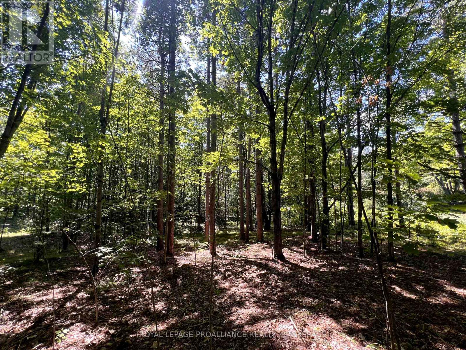 Lot 50 Maple Lane, Tay Valley, Ontario  K0H 2B0 - Photo 28 - X12411307