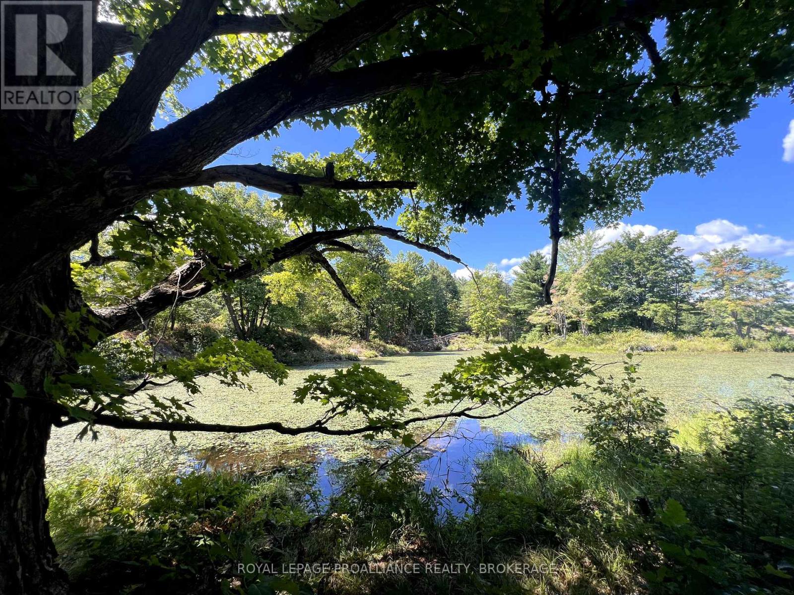Lot 50 Maple Lane, Tay Valley, Ontario  K0H 2B0 - Photo 27 - X12411307