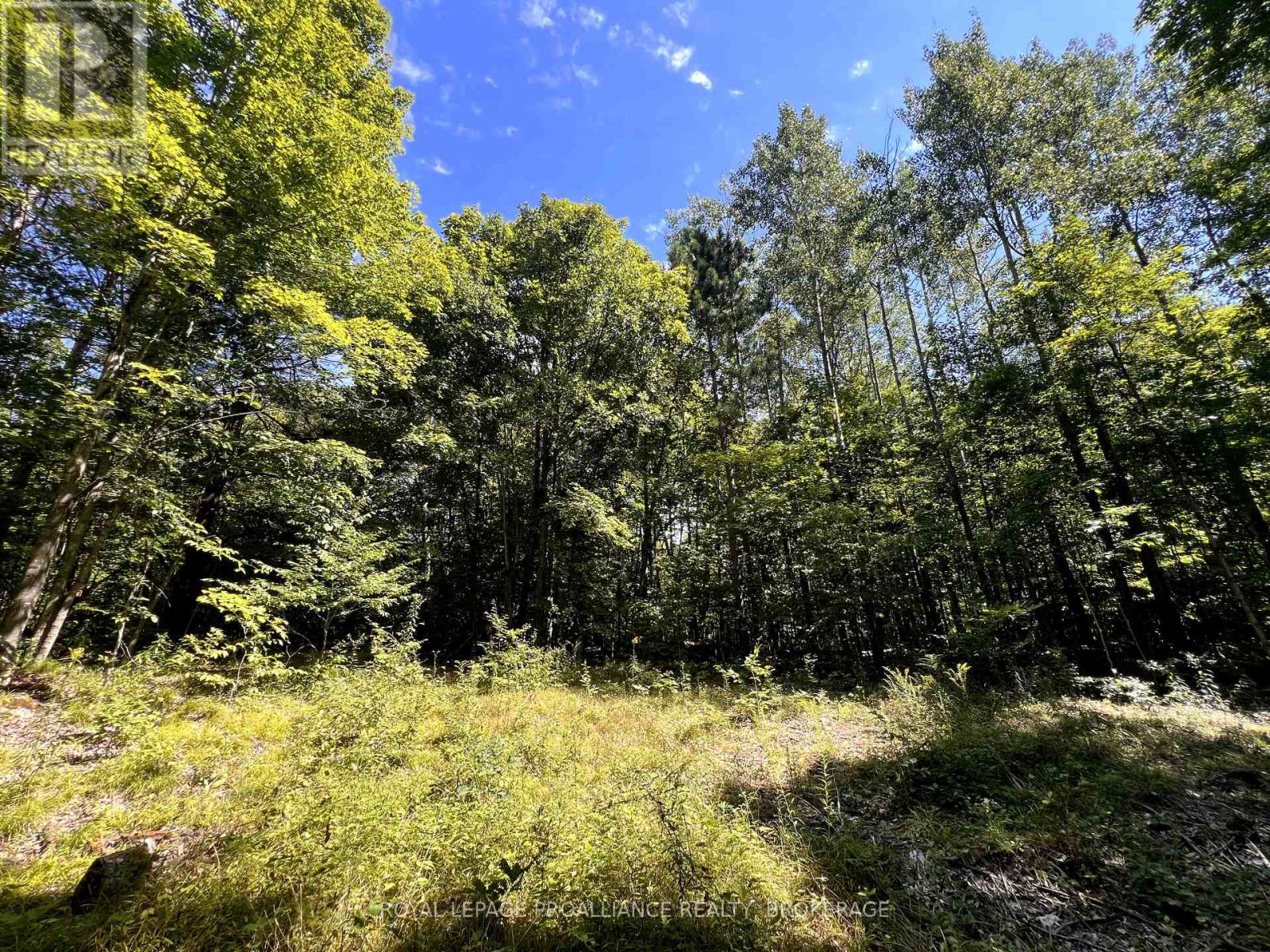 Lot 50 Maple Lane, Tay Valley, Ontario  K0H 2B0 - Photo 21 - X12411307