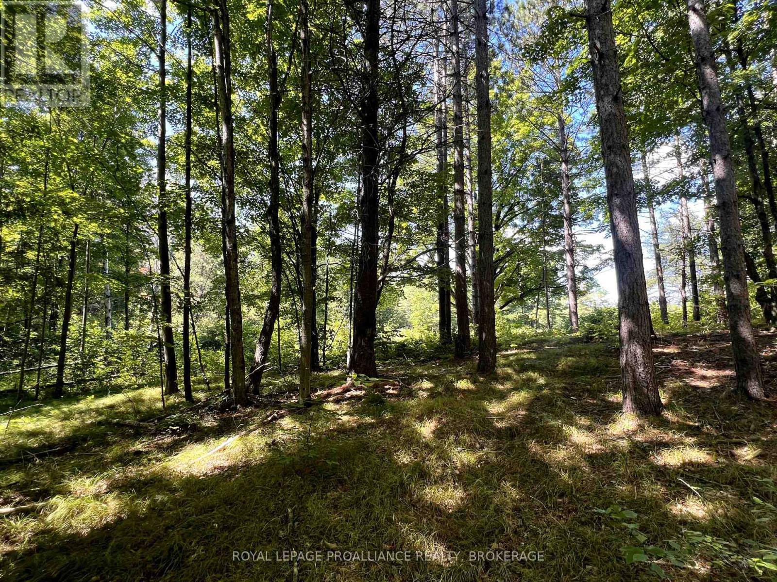 Lot 50 Maple Lane, Tay Valley, Ontario  K0H 2B0 - Photo 23 - X12411307