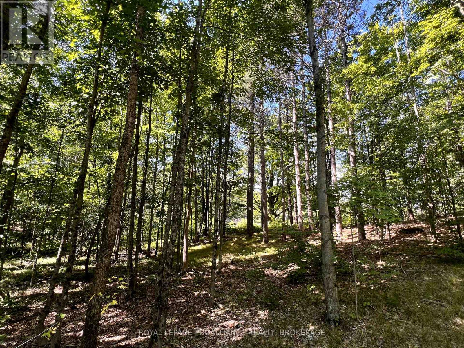 Lot 50 Maple Lane, Tay Valley, Ontario  K0H 2B0 - Photo 22 - X12411307