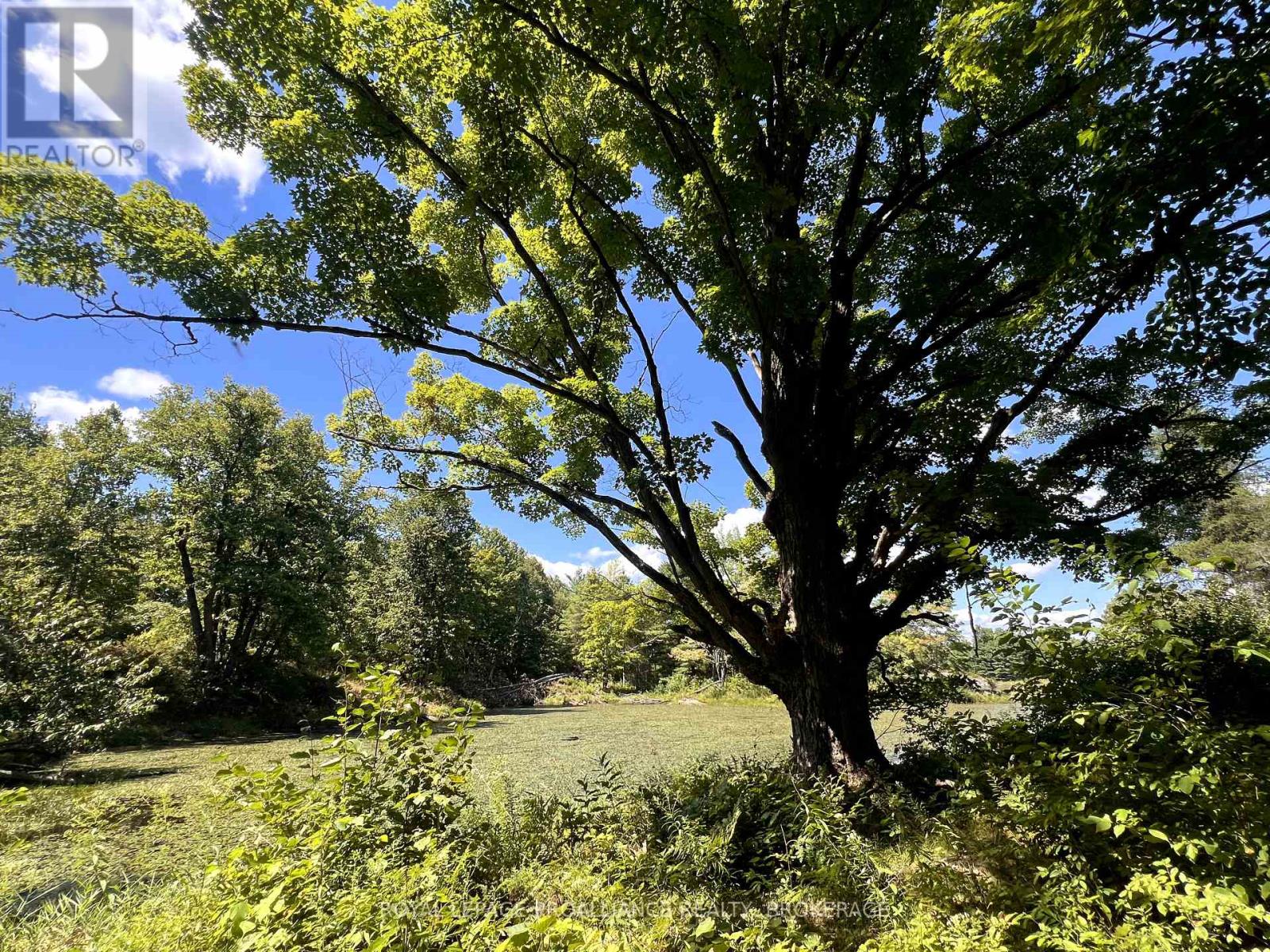 Lot 50 Maple Lane, Tay Valley, Ontario  K0H 2B0 - Photo 25 - X12411307