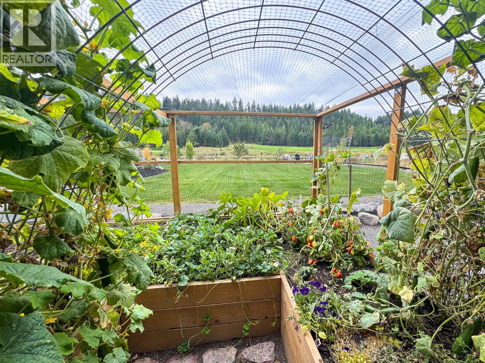 193 Shadow Mountain Boulevard, Cranbrook, British Columbia  V1C 0C6 - Photo 41 - 10363177