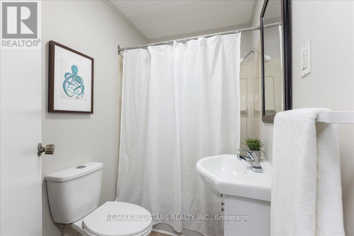 84 Metro Road N, Georgina, Ontario  L4P 1C4 - Photo 7 - N12411886