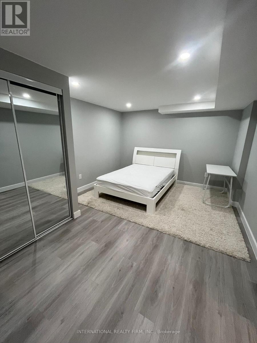 Basement - 188 Mccaffrey Drive, Newmarket, Ontario  L3X 1J9 - Photo 3 - N12412037