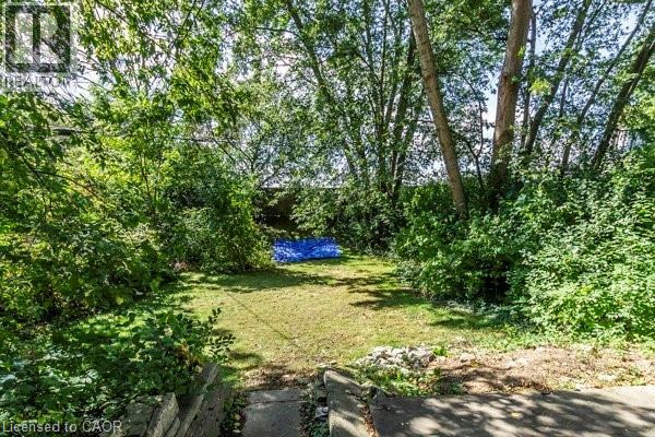 133 Albert Street, Waterloo, Ontario  N2L 3T2 - Photo 38 - 40770749