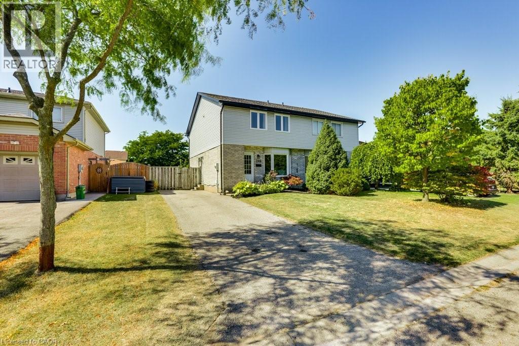 Photo 2 of 38 for 246 Martinet Avenue