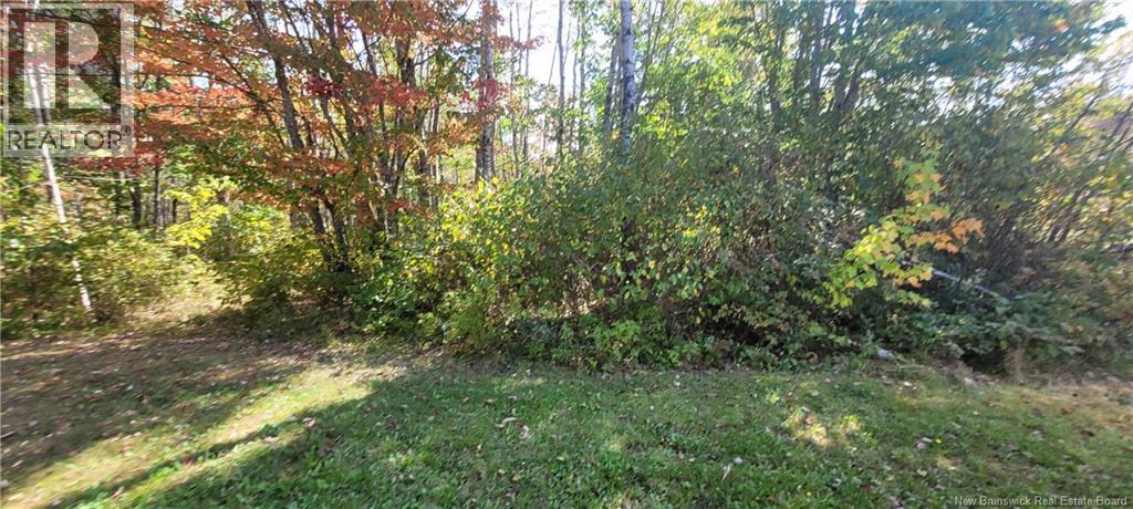56 Vacation Lane, South Canaan, New Brunswick  E4Z 3R9 - Photo 4 - NB126916